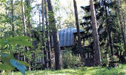 У Юрия Соломина украли собаку с целью выкупа