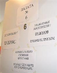 Пуговка вышла замуж